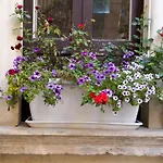 Corte Dell' Idume Lecce