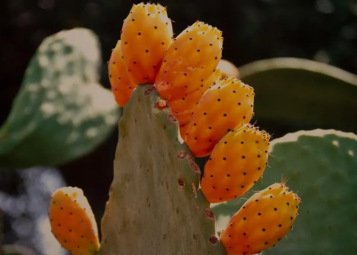 דירה Corte Dell' Idume