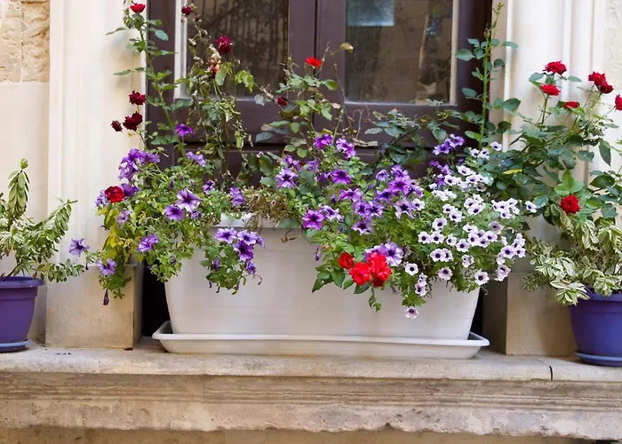 Corte Dell' Idume לצ'ה